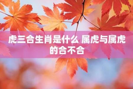 属虎姻缘相配吗(虎年生肖与姻缘是否相合)