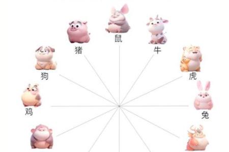 属龙女跟属牛能相配吗(属龙女性与属牛男性的匹配度如何)